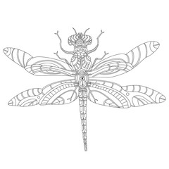 Dragonfly graphic vector illustration