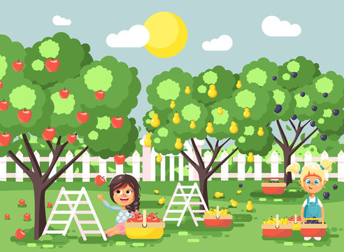Vector illustration cartoon characters children two little girls harvest ripe fruits autumn orchard garden from plum, pear, apple tree, put crop in full basket landscape scene outdoor flat style