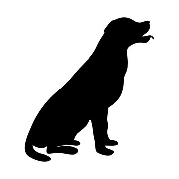 Dog Icon. Labrador Silhouette Sitting