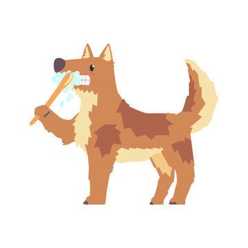 Cute Cartoon Dog Brushing Teeth With Tooth Brush And Paste Colorful Character, Pet Grooming Vector Illustration