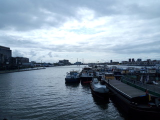 Fototapeta na wymiar porto rotterdam