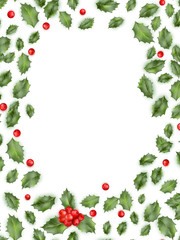 Framed holly isolated on white background. EPS 10 vector