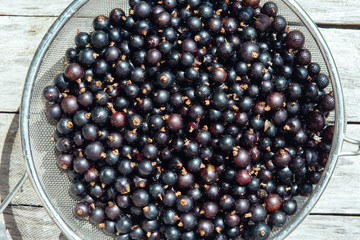 Black currant in a bowl on a wooden texture. Top view.