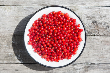 Red currant in a white bowl on a wooden texture with rusty nails. Top view. Copyspace.