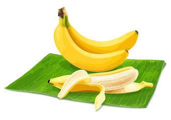 Banana vectors