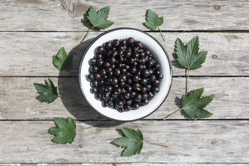 Black currant in a white bowl on a wooden texture with rusty nails. Top view. Copyspace.
