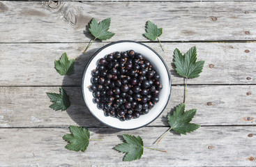 Black currant in a white bowl on a wooden texture with rusty nails. Top view. Copyspace.