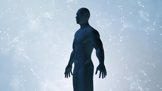 3d man body