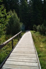 wooden path