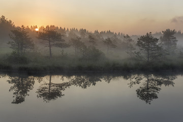 Obraz na płótnie Canvas Sunrise in the misty bog during summer