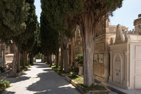 Zypressenallee mit beeindruckenden Grabmälern auf dem Friedhof von Ispica