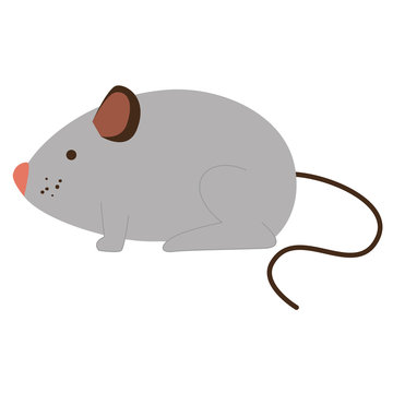 little mouse isolated icon