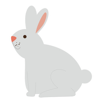 cute rabbit pet icon