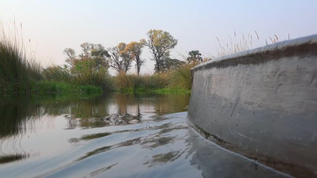 Cruising through the Okavango Delta in a Mokoro (4K footage)
