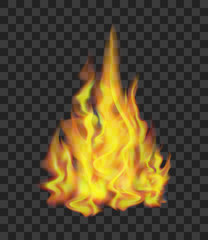 Fire on Transparent Background. Vector