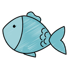 fish pet isolated icon
