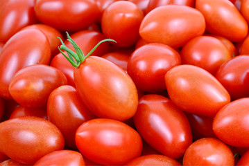 colorful of fresh San Marzano tomatoes full frame.
benefits of tomatoes.