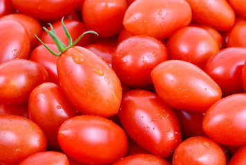 colorful of fresh San Marzano tomatoes full frame.
benefits of tomatoes.