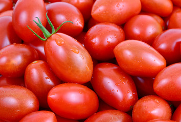 colorful of fresh San Marzano tomatoes full frame.
benefits of tomatoes.