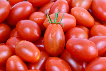 colorful of fresh San Marzano tomatoes full frame.
benefits of tomatoes.