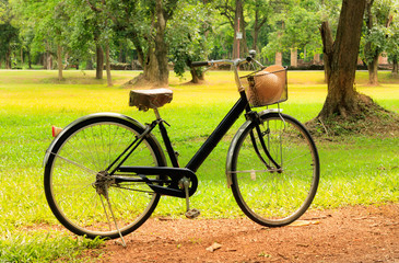 Fototapeta premium Vintage bicycle parked on green grass field.