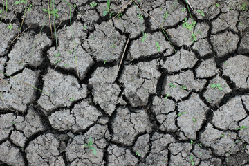 dried cracked earth
