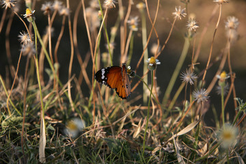 The Killing Fields of Choeung Ek, Phnom Penh, Cambodia