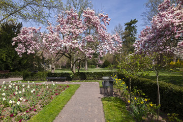 Frühling