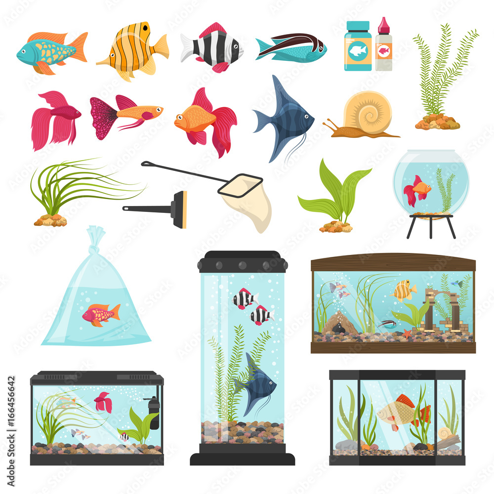 Wall mural aquarium essential elements collection