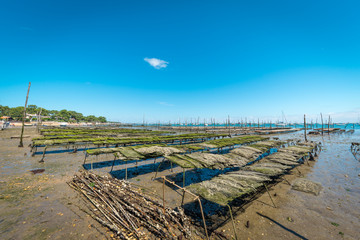 BASSIN D'ARCACHON (France), parc à huitres
