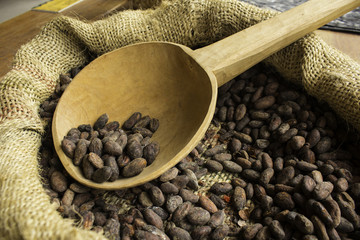 Cacao beans