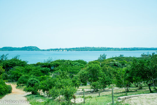 Bilene