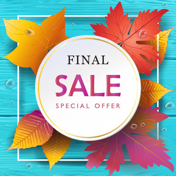 Autumn Sales Banner. Gift Card For Fall Sale Holiday Voucher, Poster, Cards Design. Vector  Autumn Maple Leaves Realistic Drawing, Blue Wood Frame.