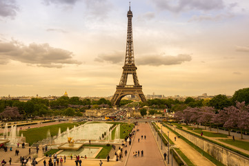 Fototapeta na wymiar Tour Eiffel in Paris