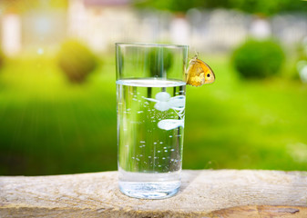 A tall beautiful glass with pure clean natural mineral water and an orange butterfly against a green lawn background close-up macro outdoors on nature in sun rays of sunlight.