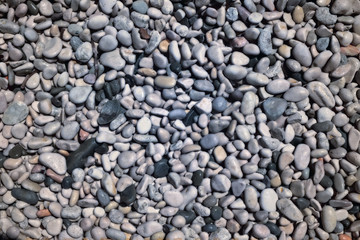 pebble texture on sea shore - pattern, cold tones, close up