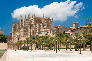 Palma de Mallorca - Kathedrale La Seu - 5848 © Wolfgang Jargstorff