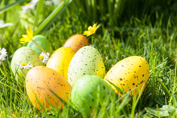 colored Easter eggs hidden in flowers and grass