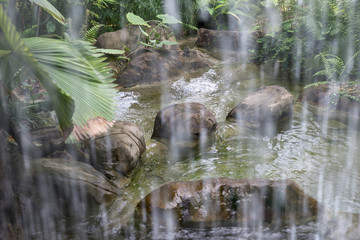 Hinter dem Wasserfall