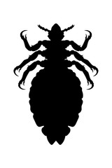Laus, Kopflaus, Silhouette, 
Vektor Illustration Isoliert auf weißem Hintergrund 