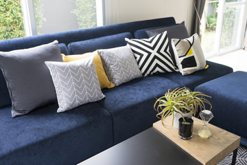 graphic pattern cushion on blue sofa with plant pot on table