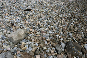 Stones on the sea shore