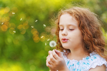 curly little girl blowing white dandelion.
