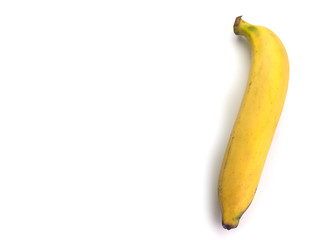  part of the Cavendish Banana.