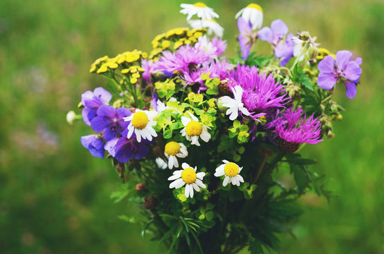 Colorful bouquet of summer flowers on green meadow background