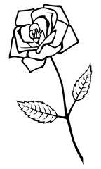 薔薇の花　02