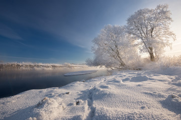 Fototapeta na wymiar Real Russian Winter. Morning Frosty Winter Landscape With Dazzling White Snow, Hoarfrost River Bank With Traces And Blue Sky. Foggy River Bank With Frost-Covered Trees And Crispy Reeds In The Frost