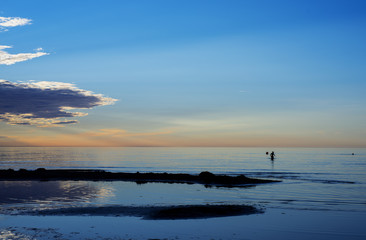 Obraz premium Summer sunset on Baltic sea.
