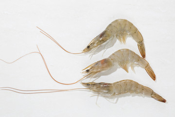 Raw shrimp on white table, top view.