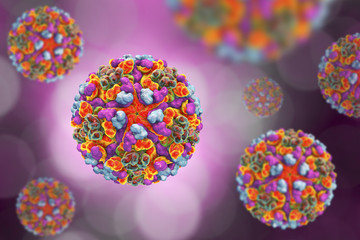 Western equine encephalitis virus, 3D illustration. An RNA Alphavirus from Togaviridae family transmitted by mosquiotes which causes encephalitis in animals and humans